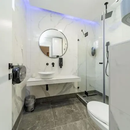 Zebrano * בלגרד